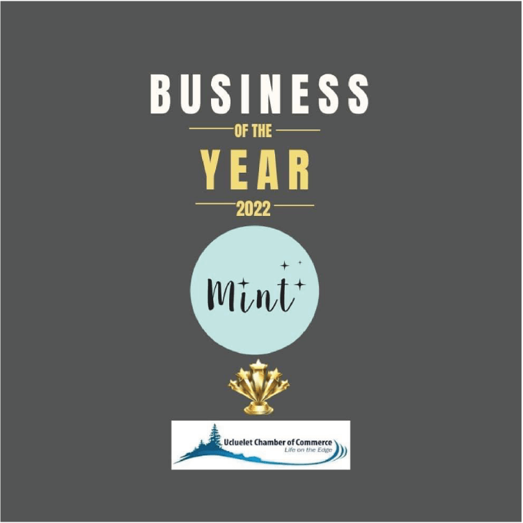 mint cleaning products business of the year